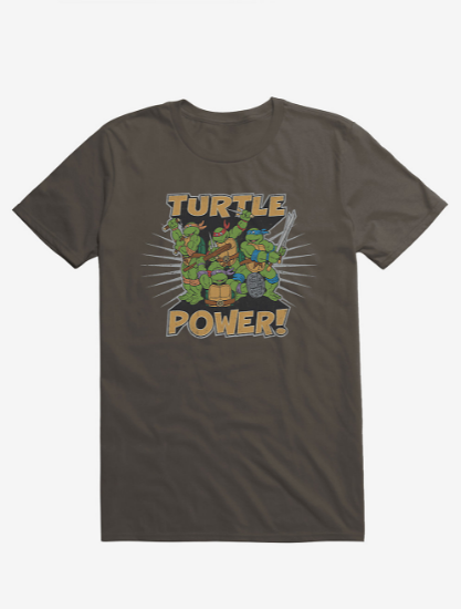 ninja turtles turtle power